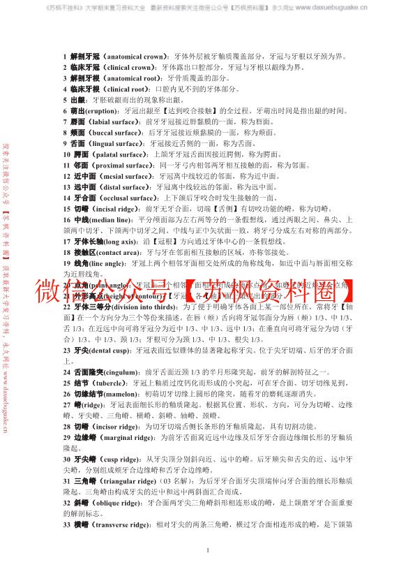 口腔解剖生理学